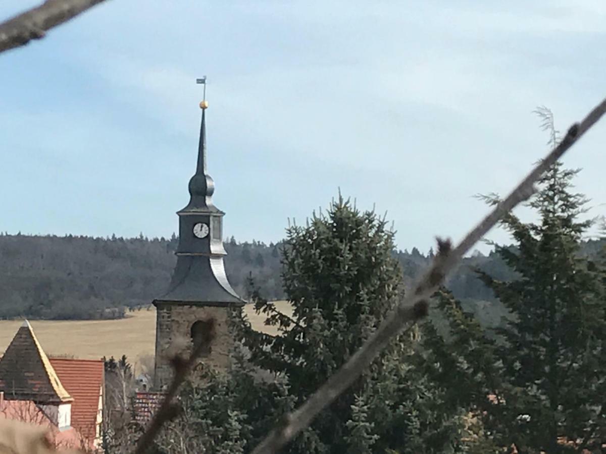 Ferienhaus An Der Selke Meisdorf Екстериор снимка